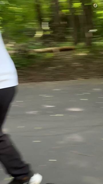 KUGOO LX 10 PRO