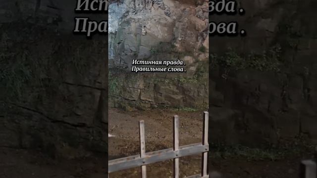 Поговори со мной душа