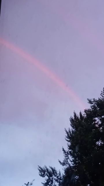 22-07-2026