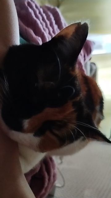 Моя нежность 😻❤️