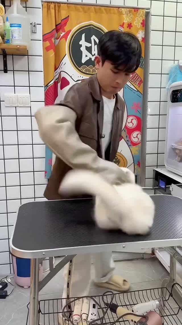 Будни  кошачьего парикмахера (грумера)🐱💀🤣😭