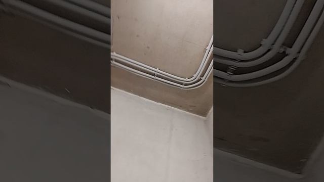 Завершающий этап