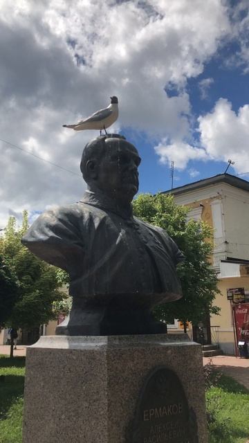 Чайка на Ермакове