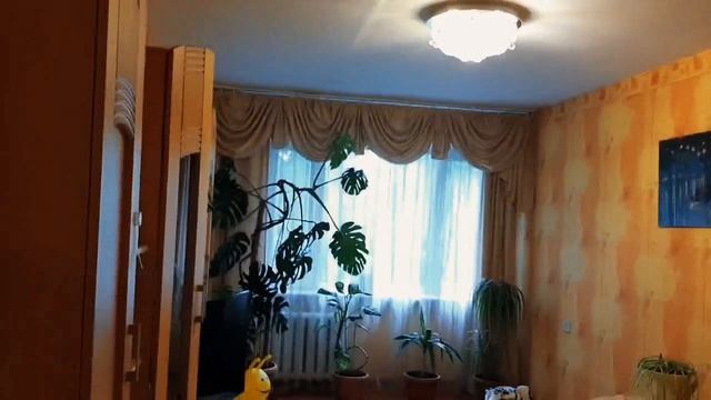 КВ Батальная 81