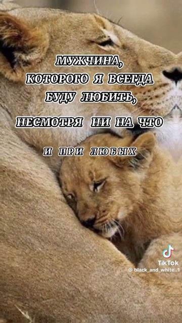 материнская любовь