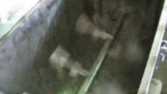Работа зефиросбивальной машины СМ-2 в режиме холостого хода (1)