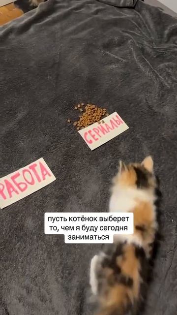 Справедливое и неподкупное совпадение обстоятельств 😂😂😂