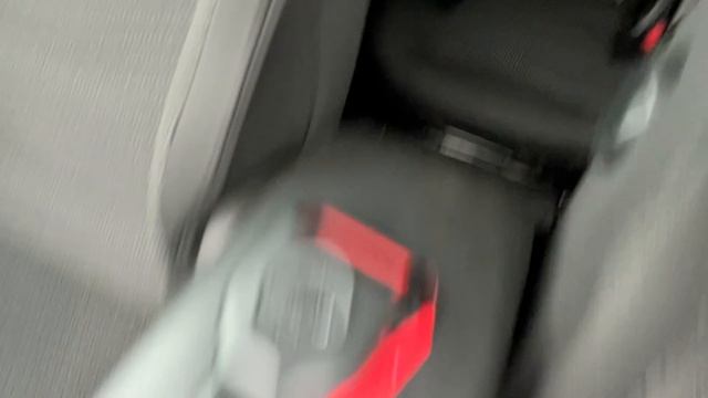 Пыжик видео 