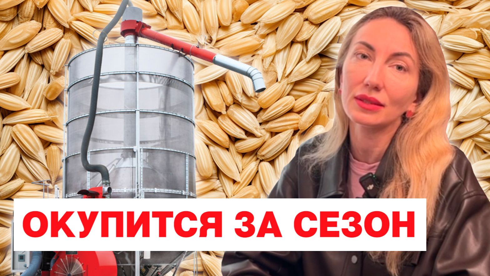 Идеальная сушка зерна: подбираем оборудование, которое окупится за сезон.