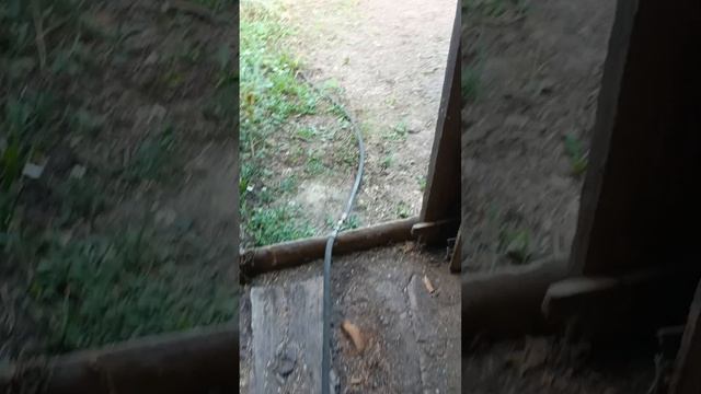 Беда,беда!Выходной в,деревне🤩