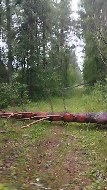 🛑Погодка бывает нервной!)