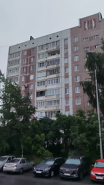 погода из Санкт-Петербурга