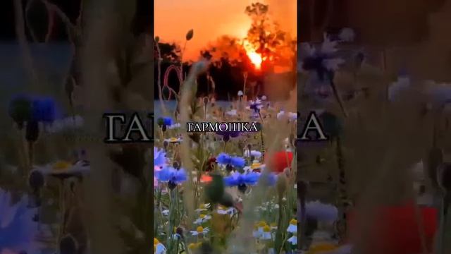 1000030948.mp4