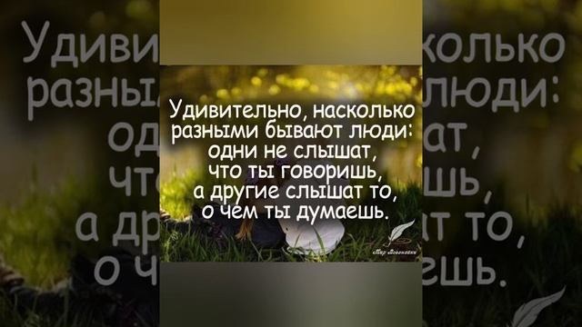Клим - Мы просто люди