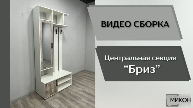 МИКОН Видео сборка. Прихожая Бриз. Центральная секция.