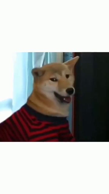 Задрот