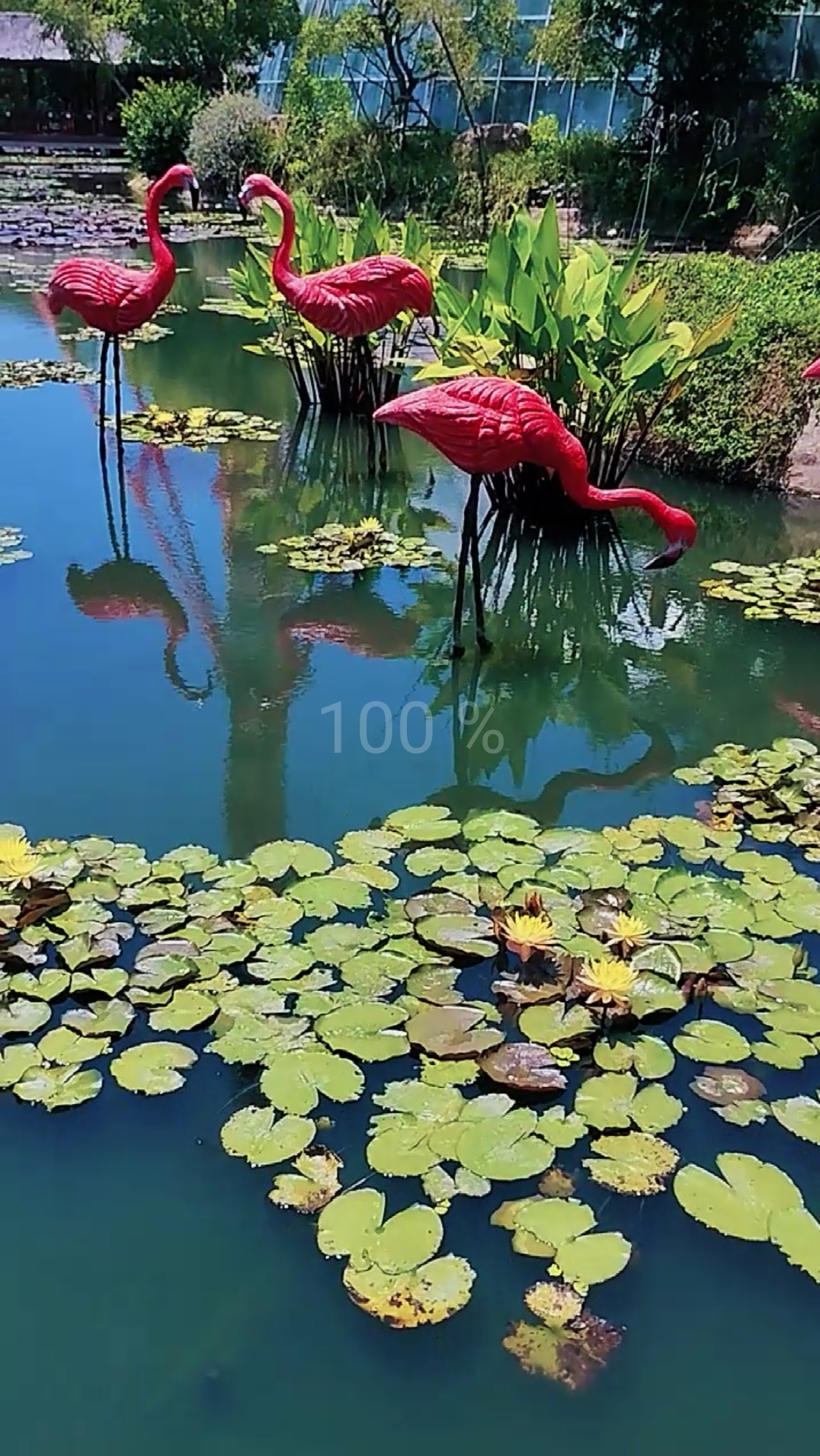 На острове Хон Че (Hon Tre Island), Нячанг 🏝️
