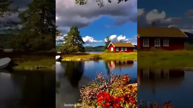 1000030950.mp4