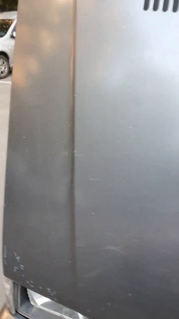 Лянча внешний вид