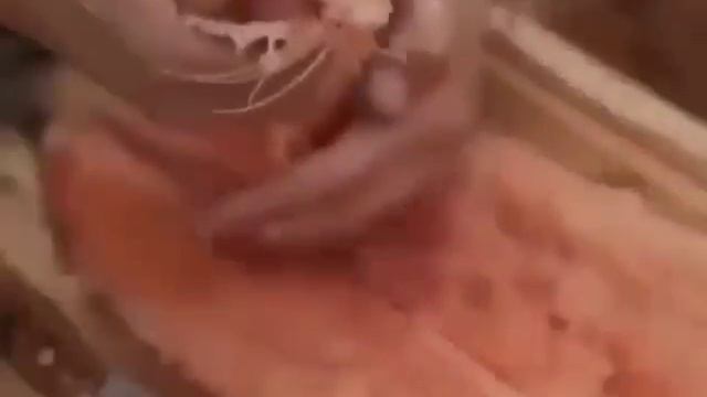 Рыба - то, что может прокормить вас во многих ситуациях.