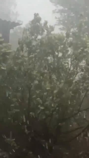 Ураган на Алтае 21.07.26.