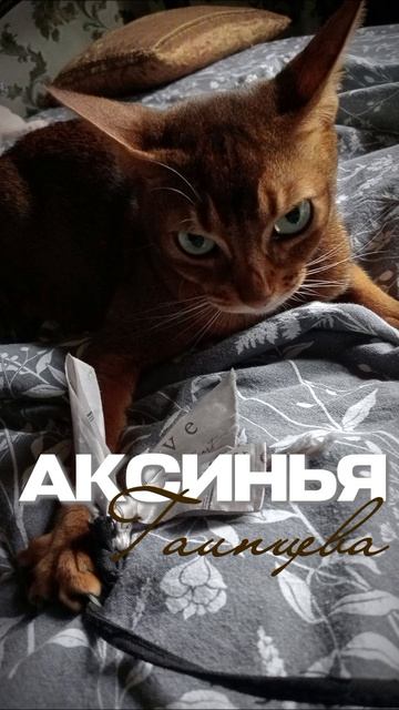 Крошки мои: Аксинья и Софи! Едят они в разных местах. Есть причина!  Софи на кухне. Аксинья у ме...