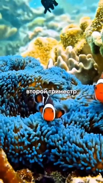 Поильник от BabyWell арт. 728255446🤍