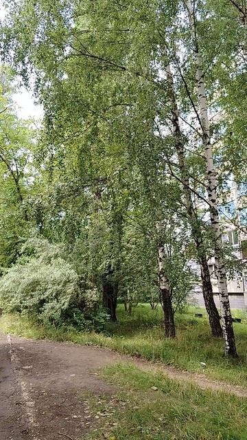 22-07-2026
