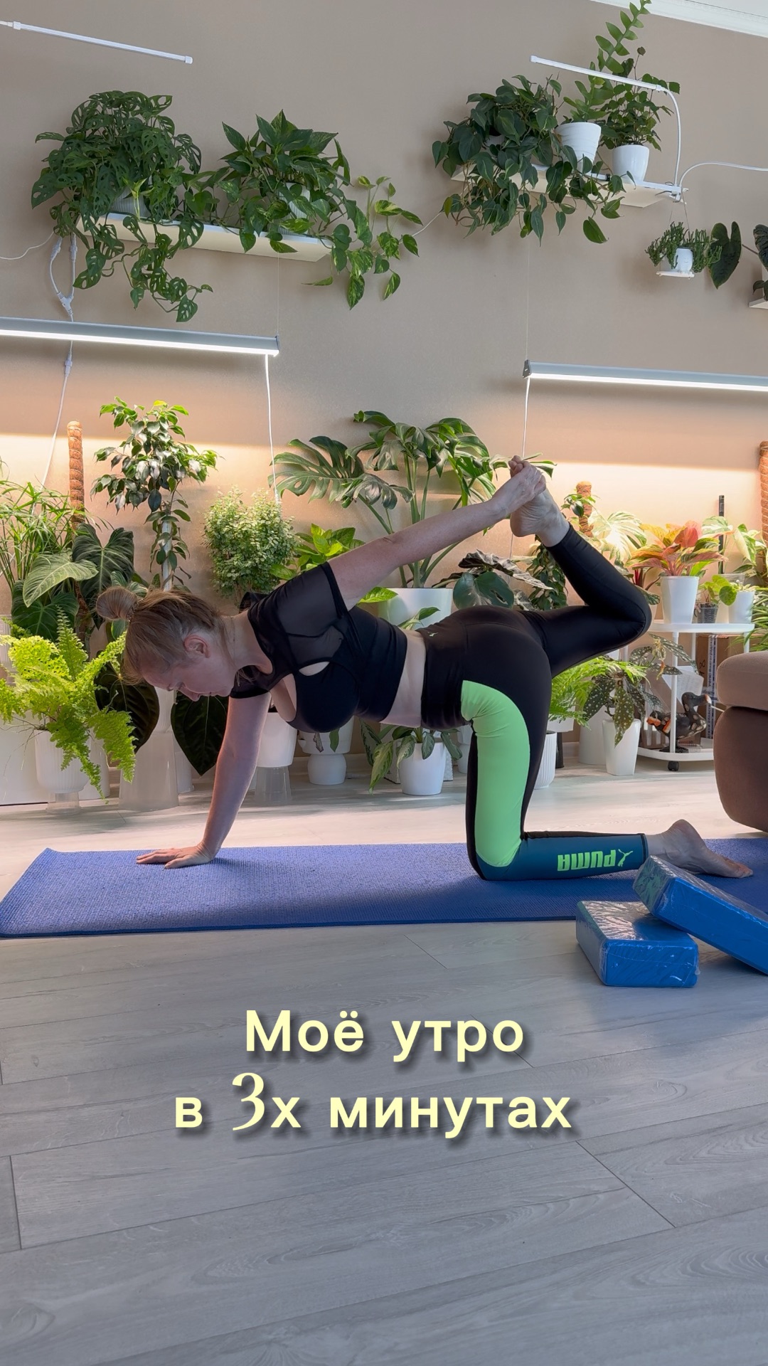 #plants #комнатныерастения #йога