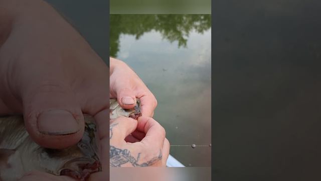 Ловля карася с лодки