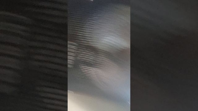 1 видео поставьте пожалуйста лайки