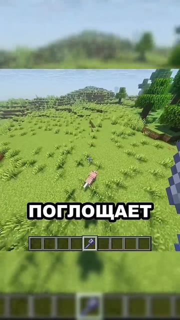 ЭТОГО НИКТО НЕ ЗАМЕЧАЕТ #minecraft #shorts