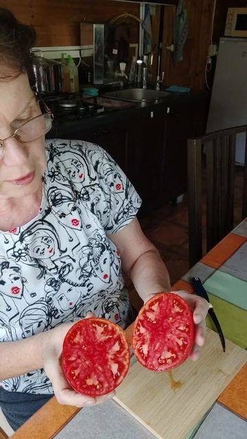 Томат Минусинский низкорослый розовый.