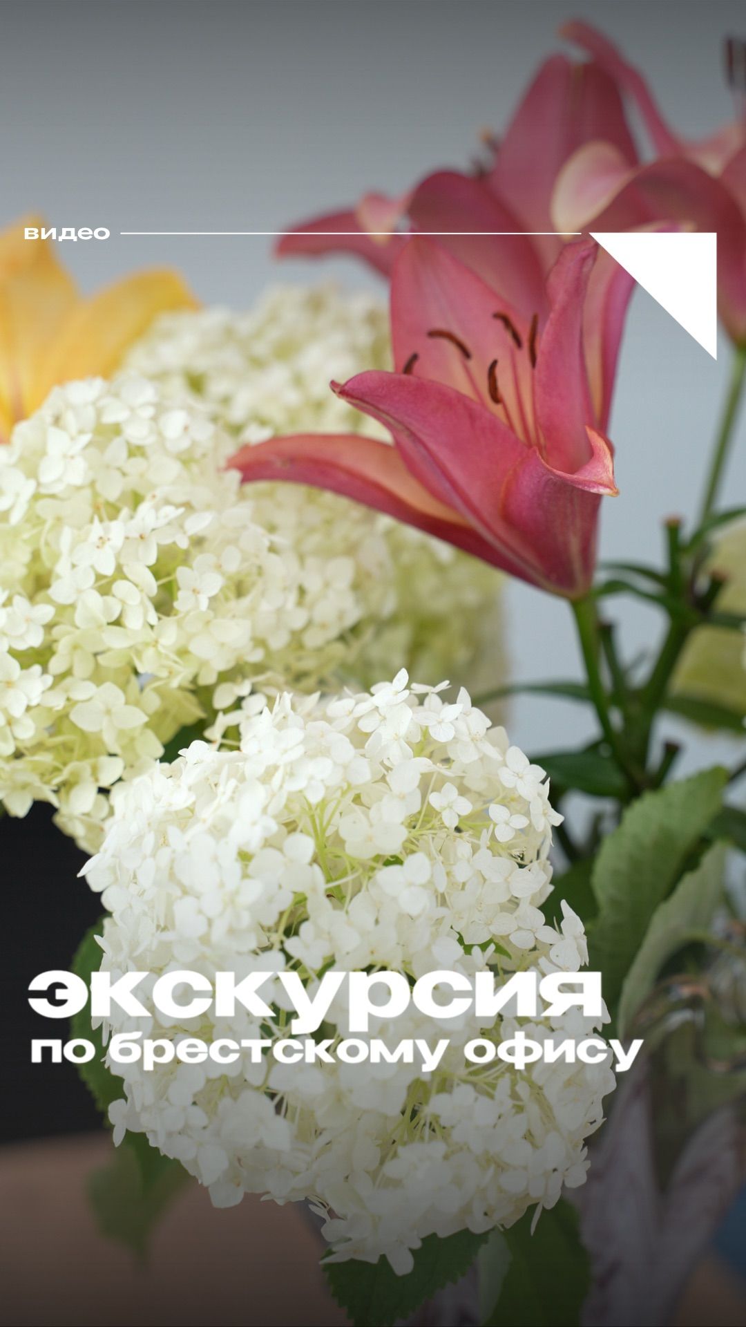 Экскурсия по офису в Бресте
