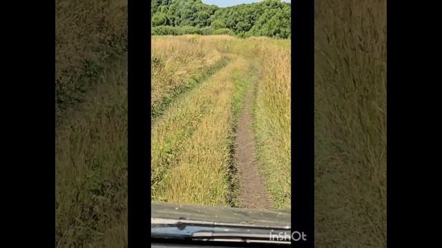 Дорога Горки-Таболо Кимовский район Тульской области