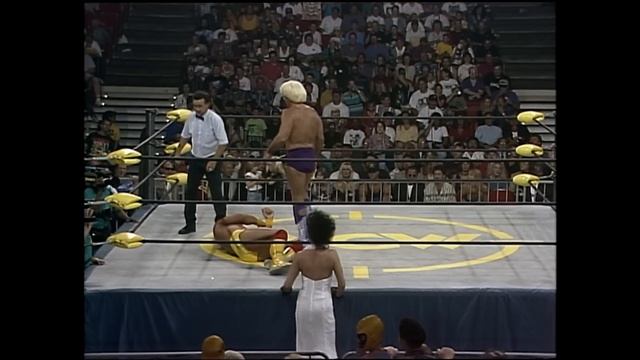 FULL MATCH: Ric Flair vs. Hulk Hogan | WCW Title Match: WCW Bash at the Beach 1994
