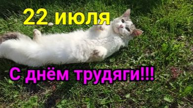 Решено! Начинаю переработку яблок