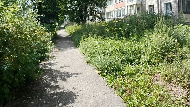 дигма 8504к60фпс+стаб ужато до 108060кс