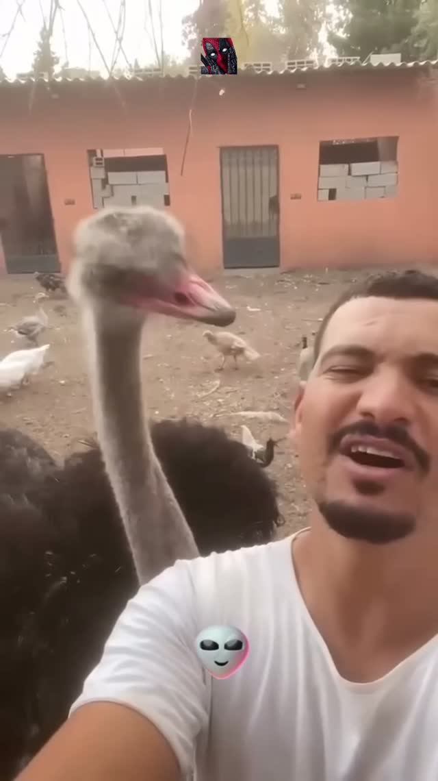 Когда Что-то Пошло Не Так!¿?! 😼🫶😎