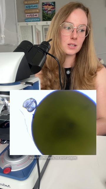 Что это такое?🔬