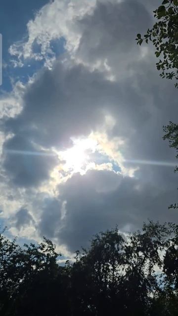 Жизнь, как и луч, находит себе дорогу