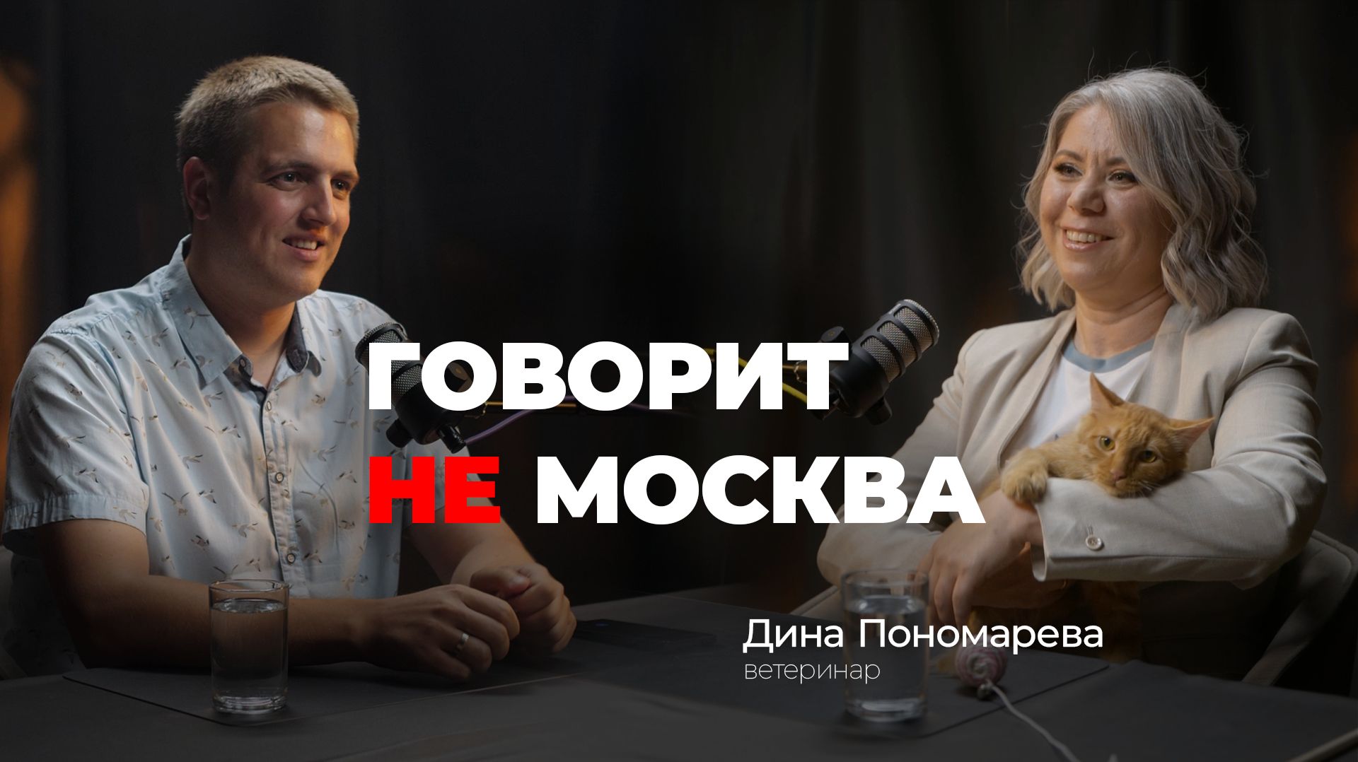 Все, что нужно знать о здоровье животных. Дина Пономарева, ветеринар