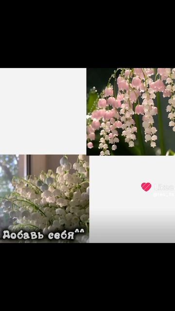 }×☆🌑☆×{-Я добавилась. Братаны, ваш выход!🤩