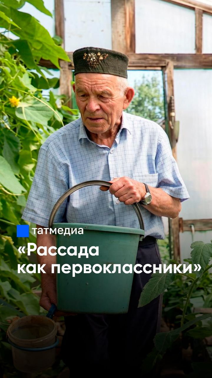 Учитель биологии раскрыл секреты богатого урожая #урожай #огород
