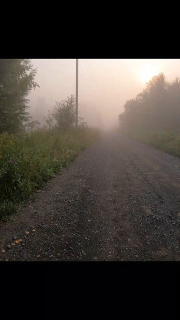 «Туманная завеса спадает»