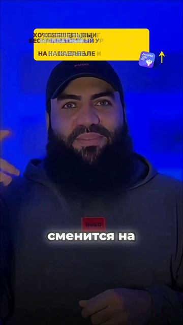 Главное о сроках в тендерных закупках