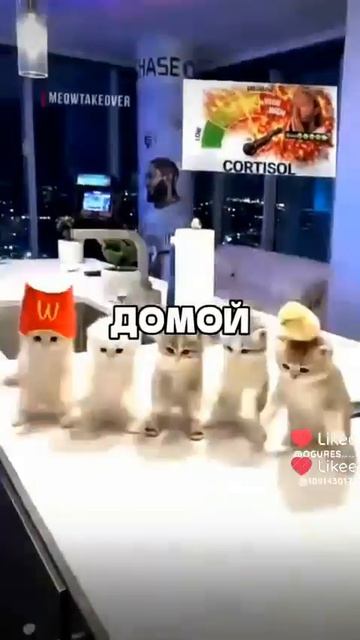 приезжай ко мне домой
