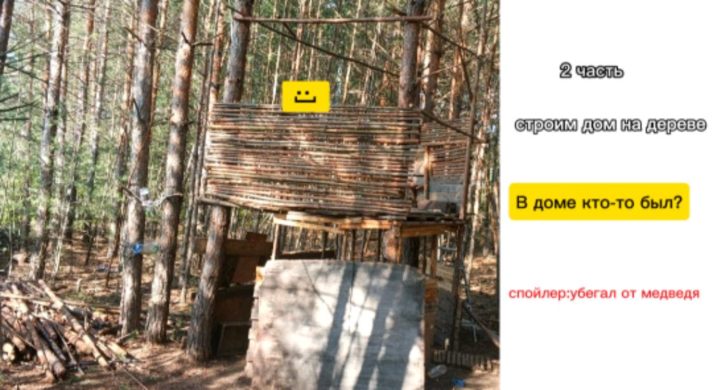 строим дом на дереве