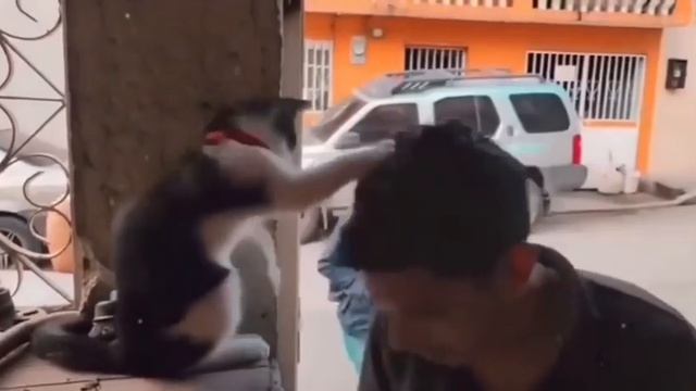 1000023786.mp4