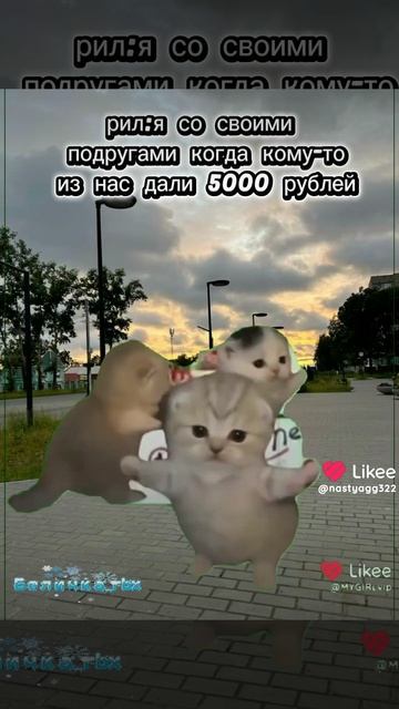 4372.mp4